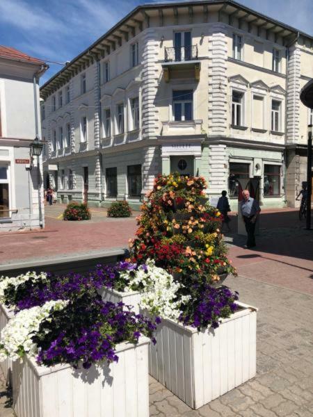 Old Town Apartment بارنو المظهر الخارجي الصورة